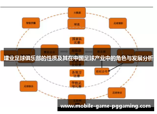 建业足球俱乐部的性质及其在中国足球产业中的角色与发展分析