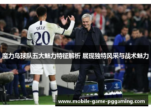 魔力鸟球队五大魅力特征解析 展现独特风采与战术魅力