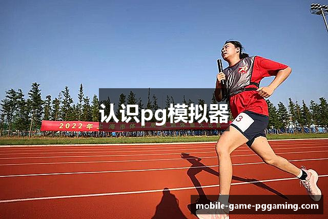 认识pg模拟器